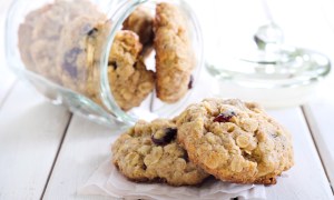 best cookie jars oat  cranberry wholemeal cookies