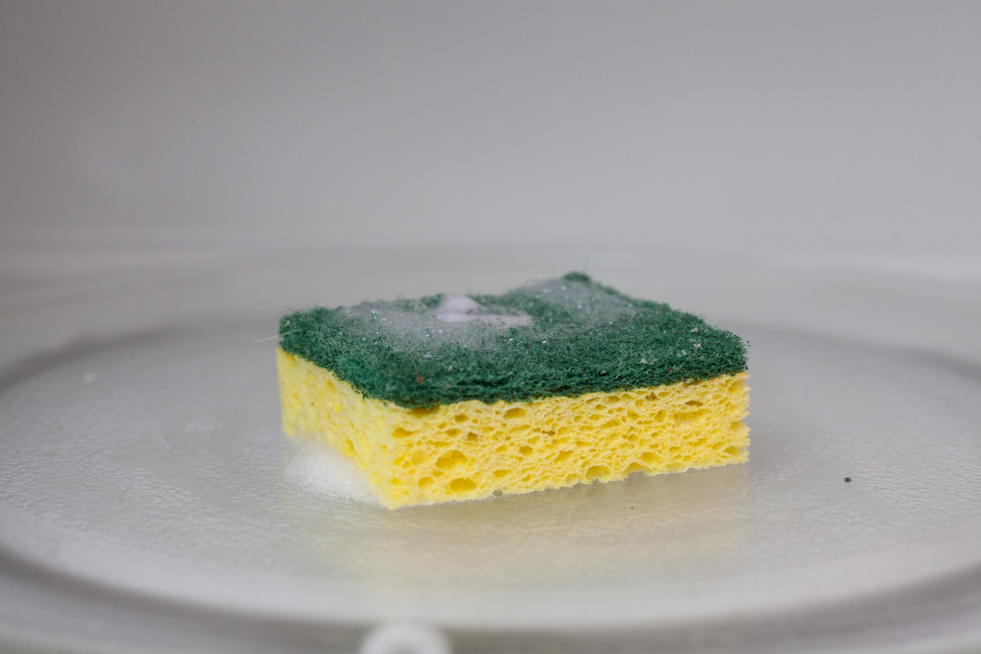 Sterilize sponge hot sale in microwave