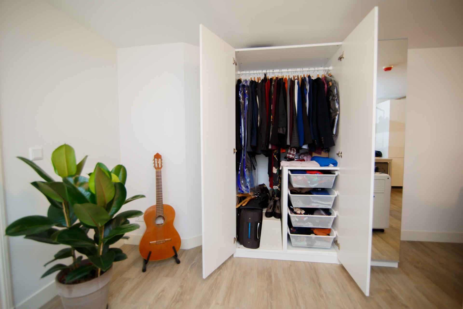 Closet with clothes and guitar in corner with plant