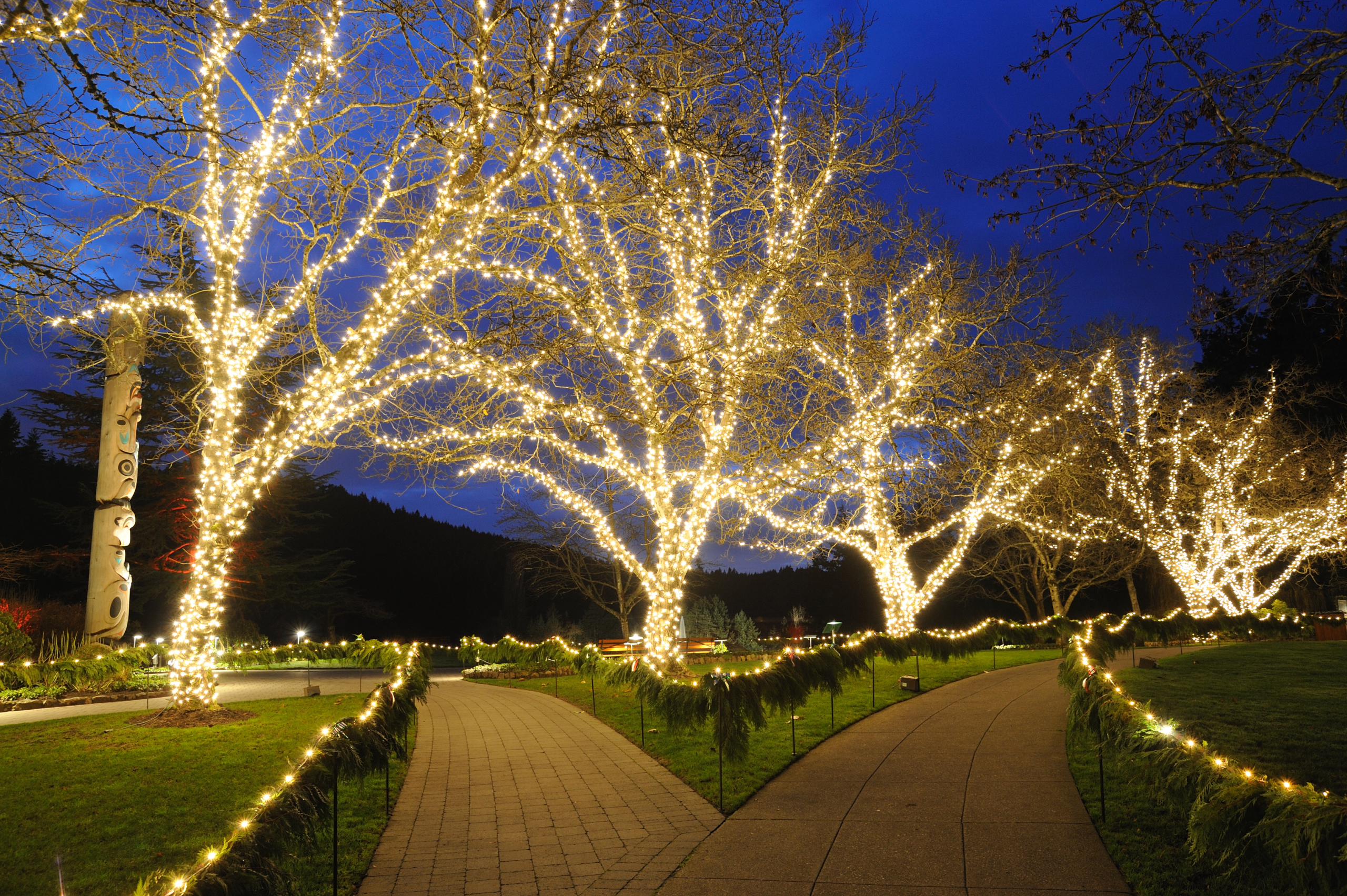 Outside lights store for trees