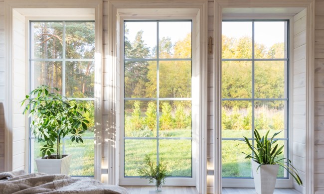 three vertical windows with a view of nature