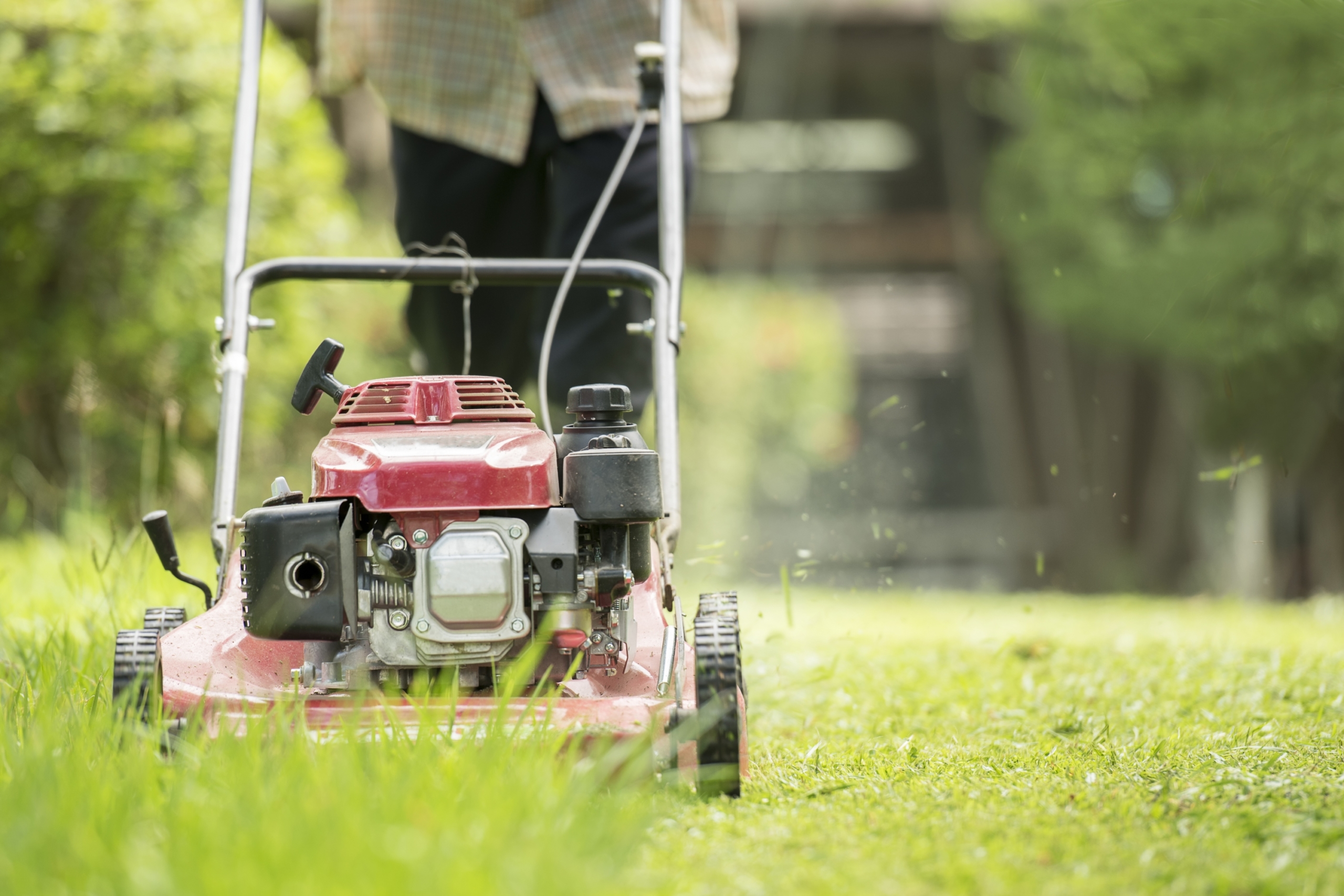 Mowing an overgrown lawn hot sale