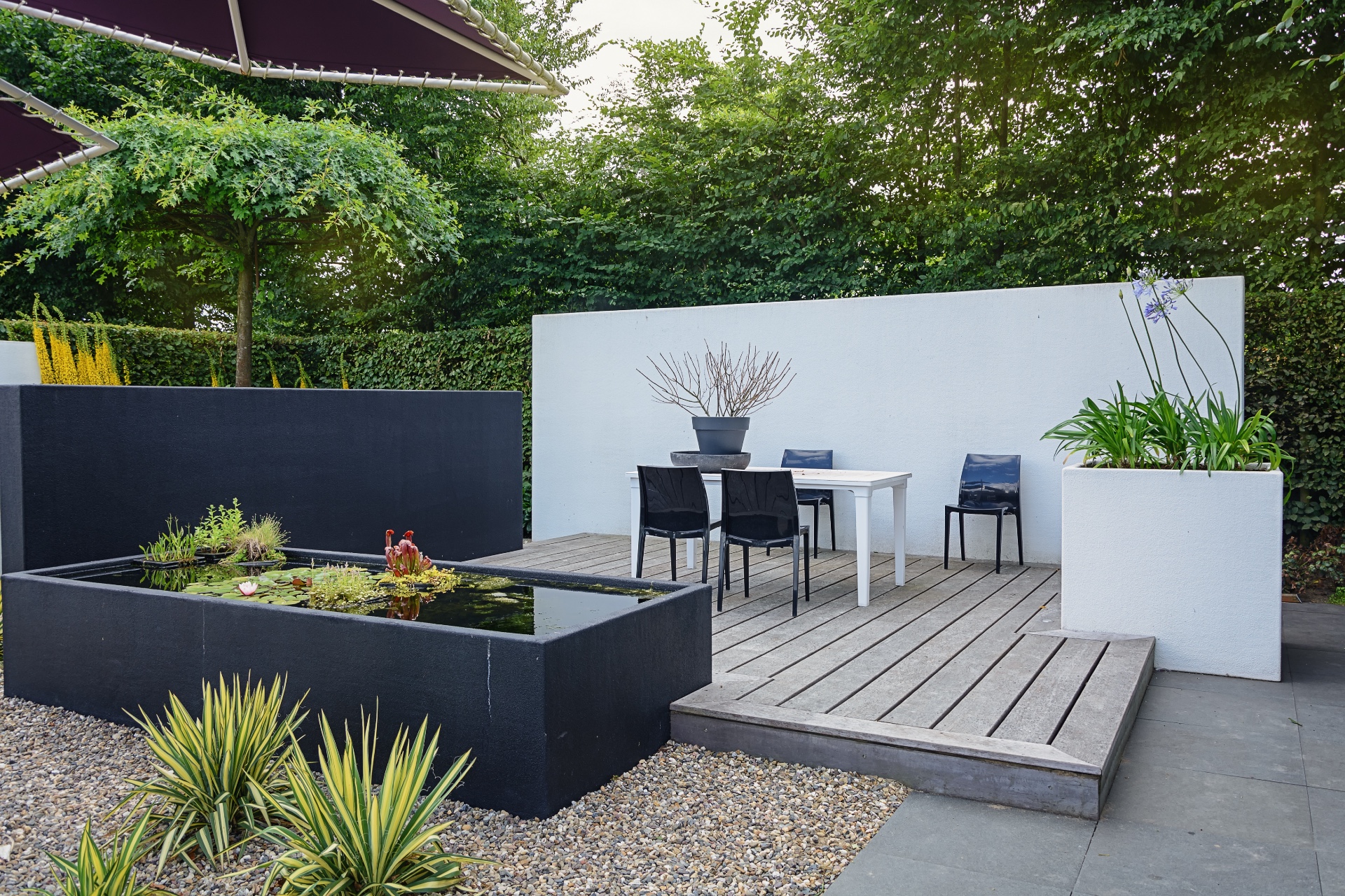 modern landscaped backyard