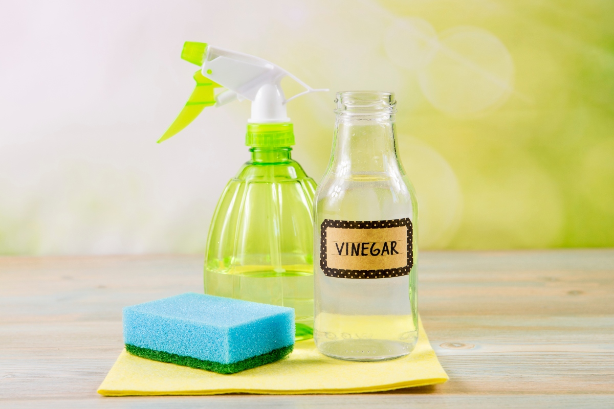 Vinegar cleaning solution with spray bottle and sponge