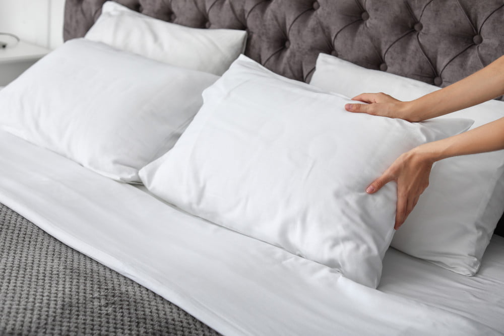 Pillow Stuffing 101: Which Cushions are the Best Quality? – SleepCosee