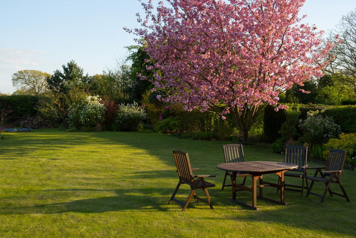 Large yard with flowering tree and picnic table