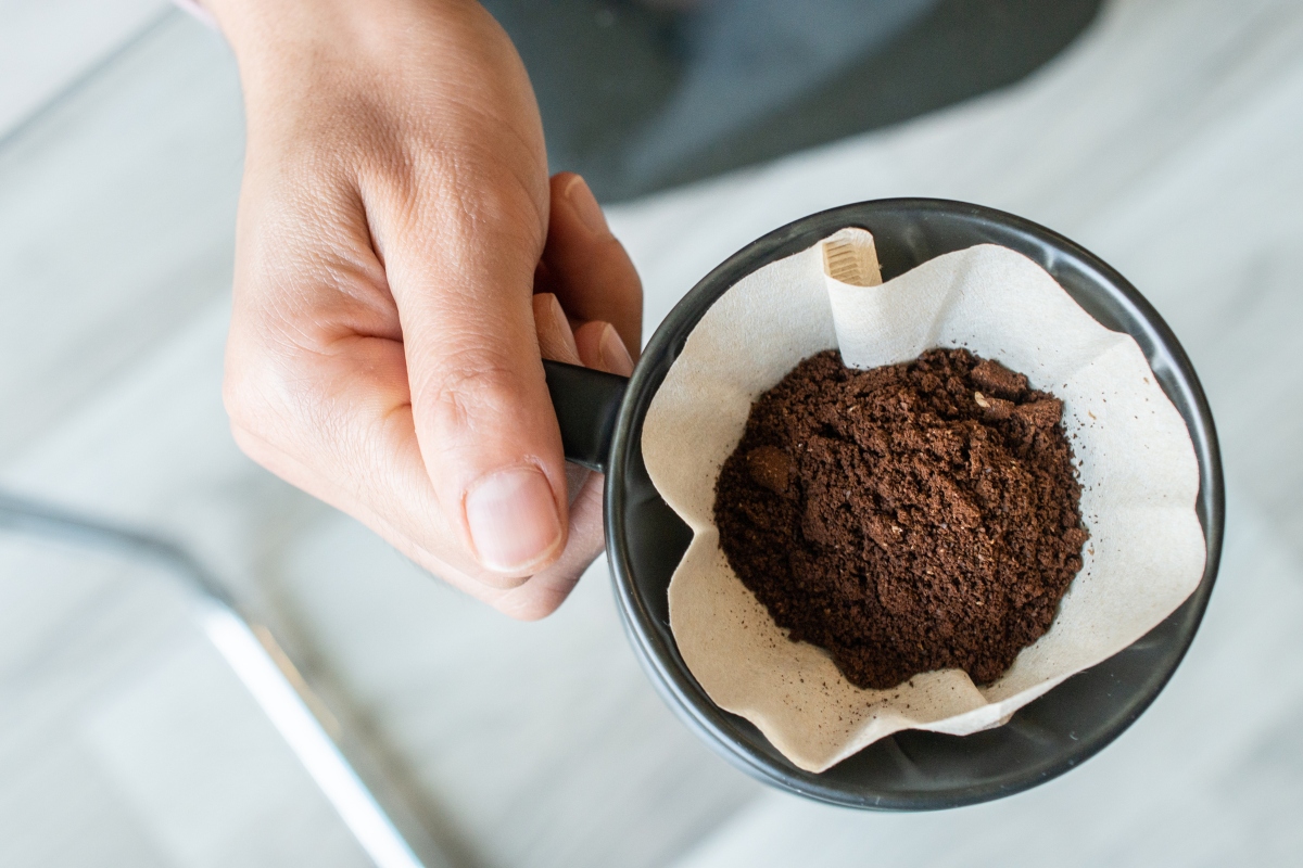 Person holding coffee filter with coffee grounds.