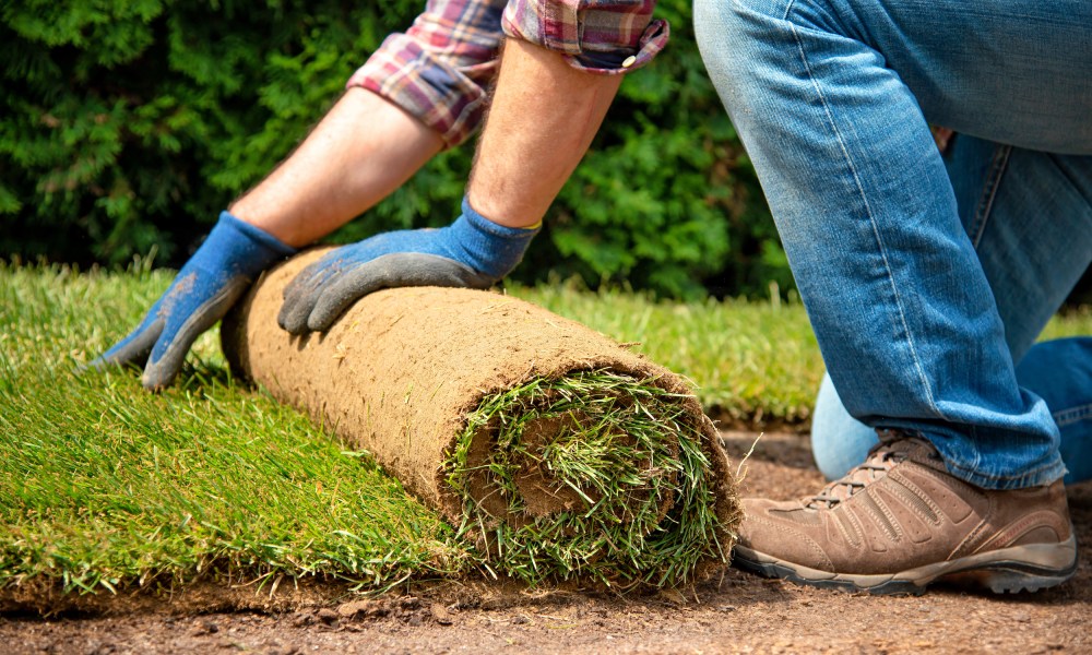 Man laying sod over dirt