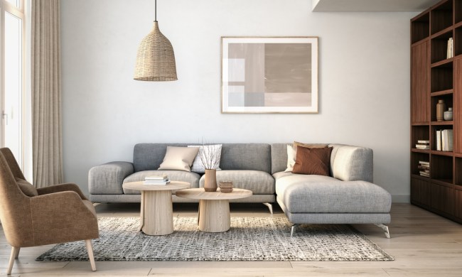 Modern Scandinavian living room style
