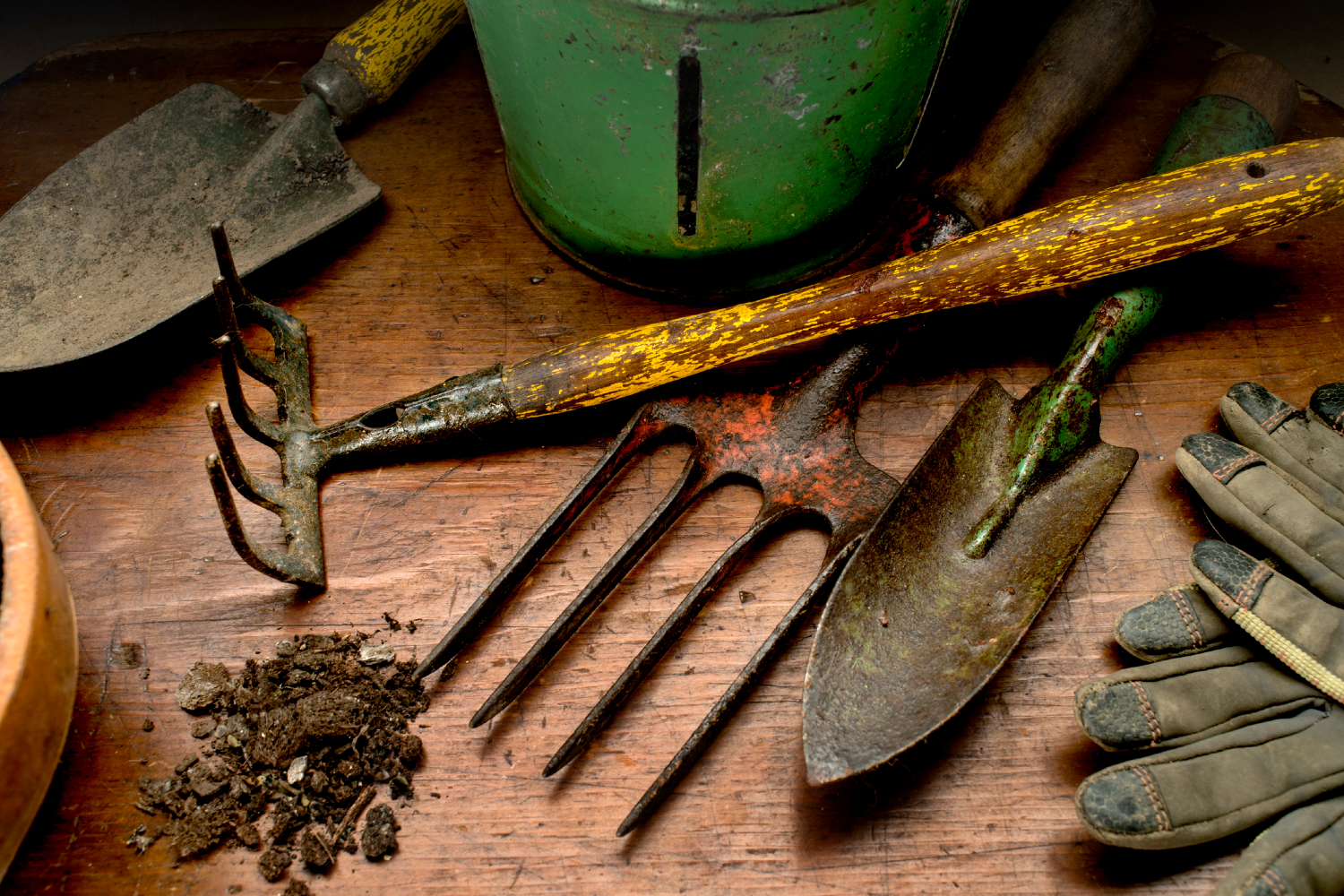 how to clean garden tools on table resized