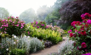 English garden walkway