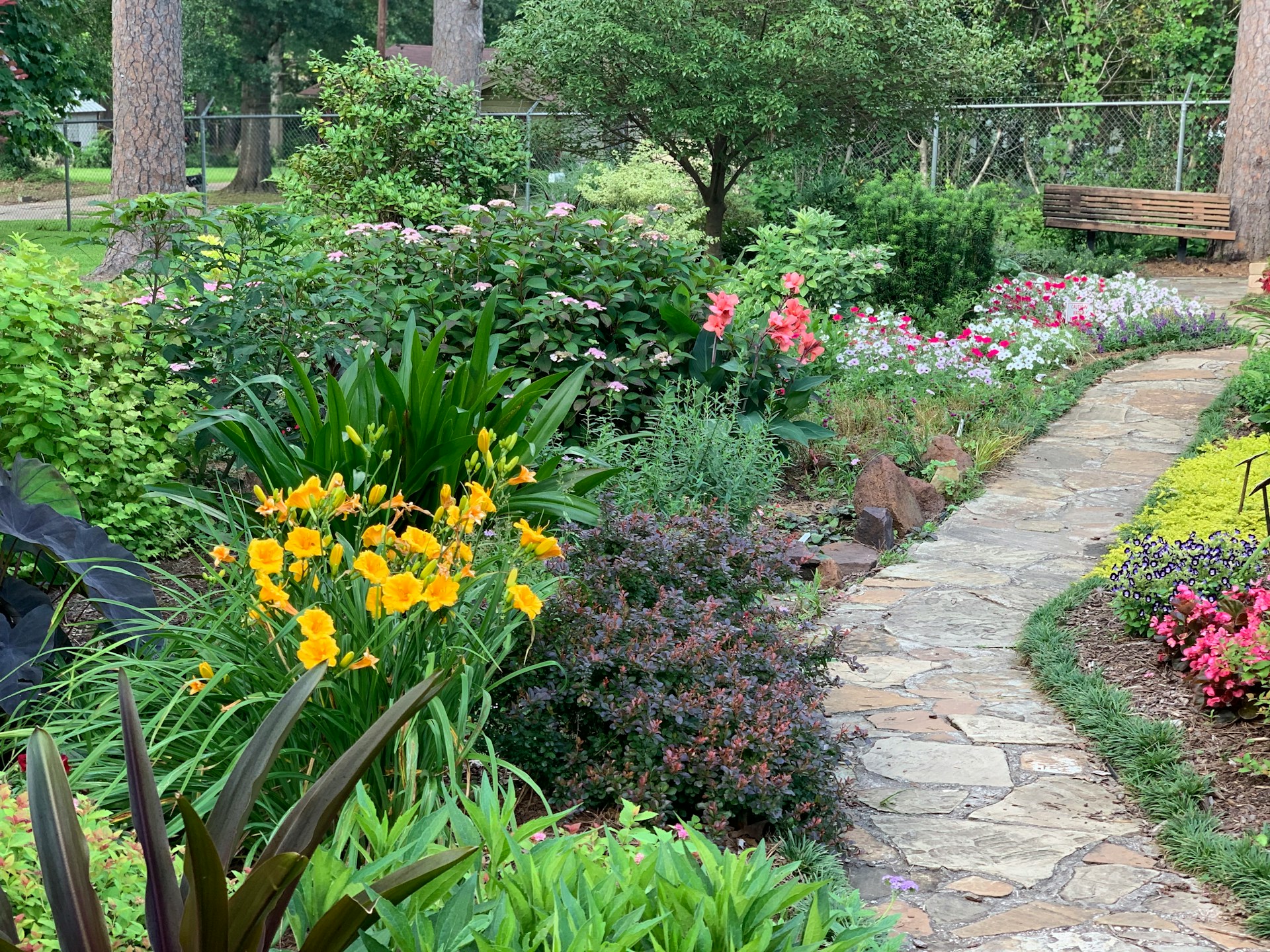 stone pathway through a flower garden