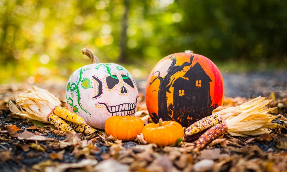 Two painted pumpkins in fall leaves